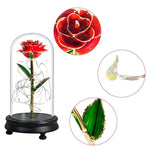 Eblouissante Rose Eternelle Doré  "Ainy Rose" avec Coffret
