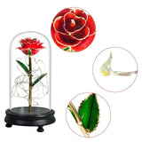Eblouissante Rose Eternelle Doré  "Ainy Rose" avec Coffret