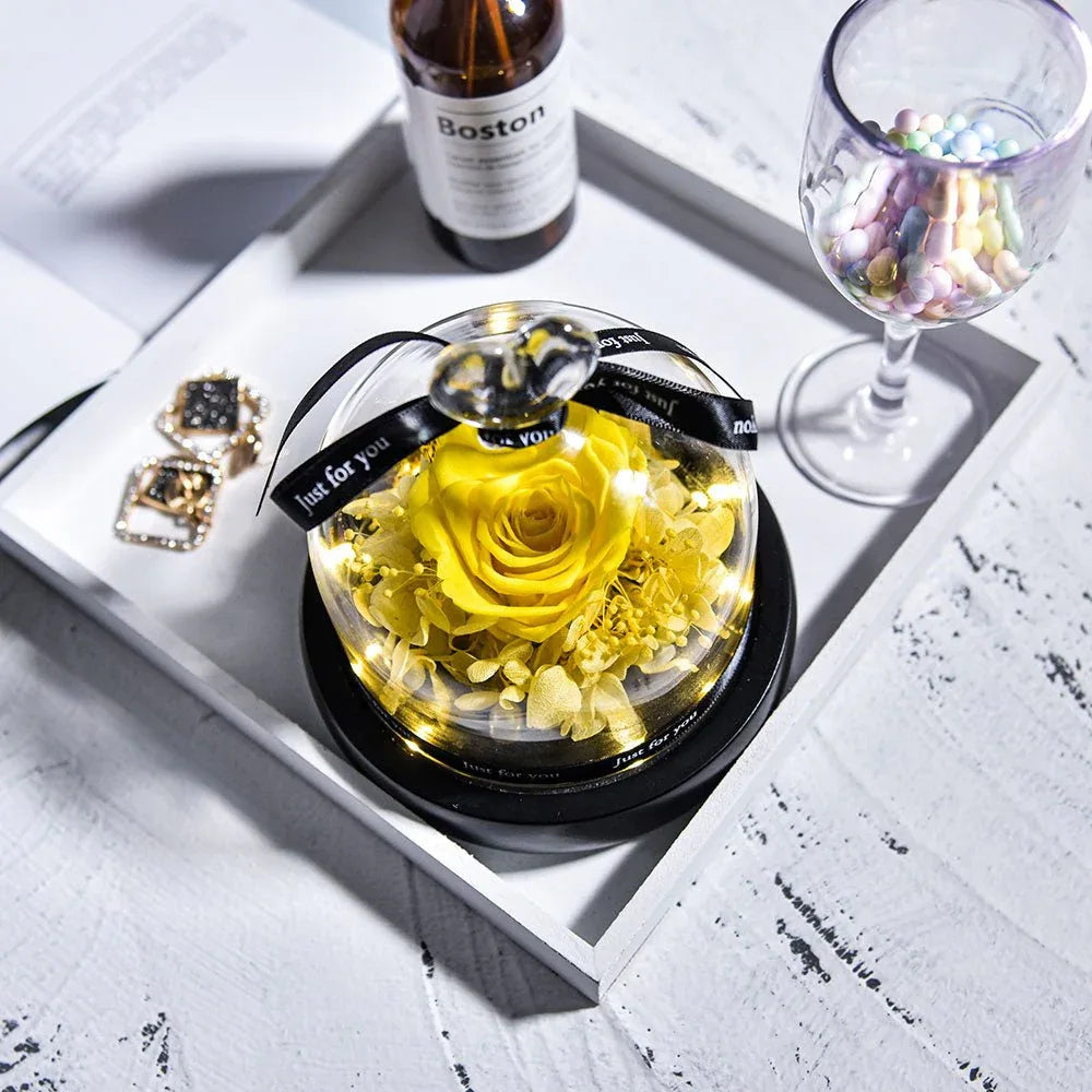 Rose Eternelle Suprême avec Cloche design ( Choix de couleur ) - Rose Eternelle La Boutique