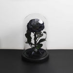 Véritable Rose Éternelle de Prestige ( choix de couleur )