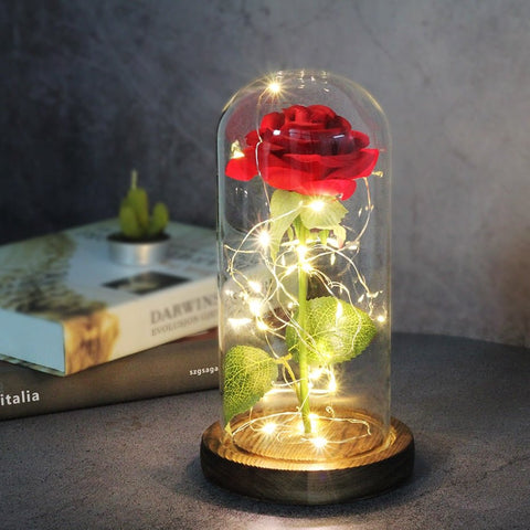 Rose Eternelle Sous Cloche & LED Rouge