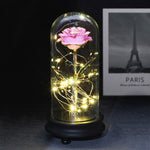 Rose Eternelle Lumineuse Or 24K (Choix de Couleurs)