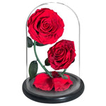 Prestigieux Duo de Rose Eternelle ( Choix de couleur )