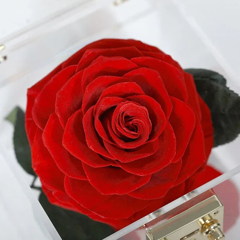 Coffret de Luxe avec une Rose Eternelle Premium - Rose Eternelle La Boutique
