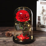 Véritable Rose Éternelle de Prestige ( choix de couleur )