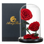 Prestigieux Duo de Rose Eternelle ( Choix de couleur )