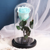 Rose Eternelle Premium (Style au Choix)