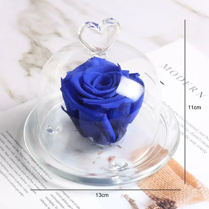 Rose Eternelle Sous Dôme Bleu - Rose Eternelle La Boutique