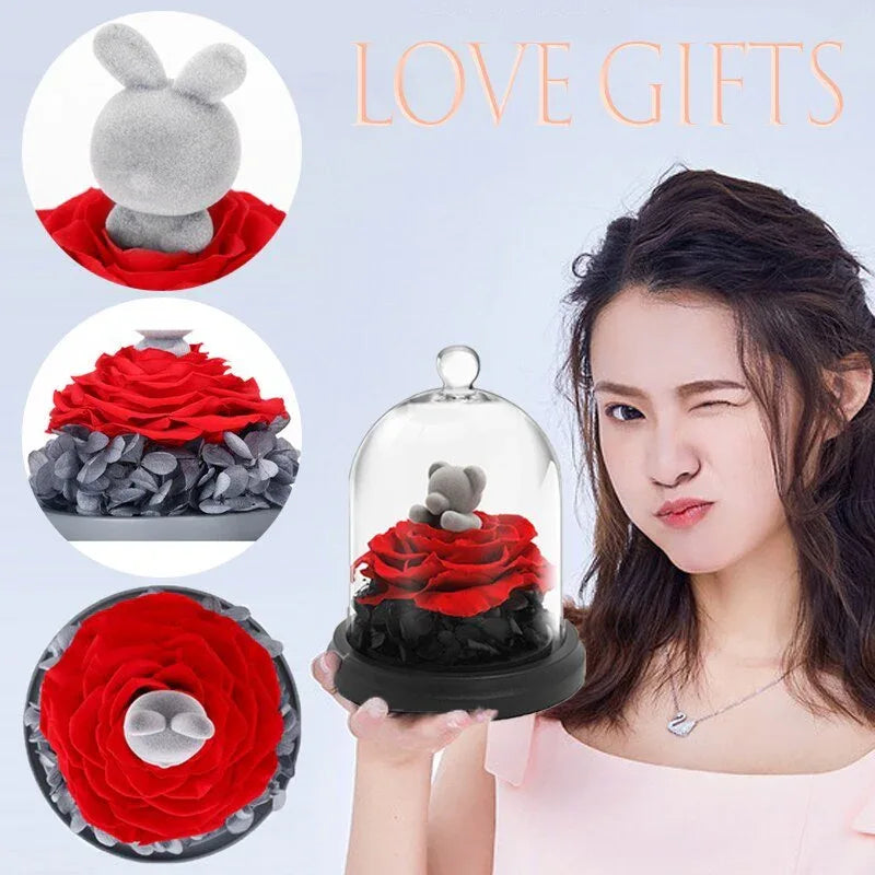 Ours et Lapin avec Rose rouge sous cloche - Rose Eternelle La Boutique