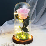 Rose Eternelle Premium (Style au Choix)