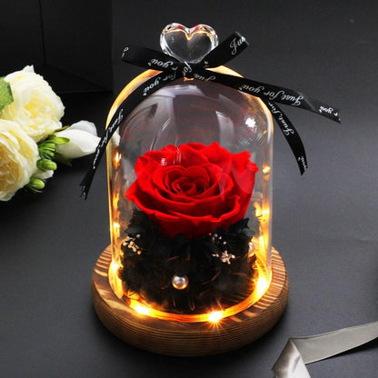 Beautiful Eternal Rose under glass dome glowing