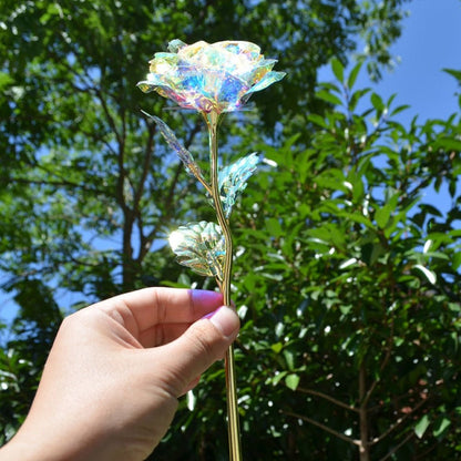 Eternal Red Rose Bundle Pack + 24k Gift Box (Choice)