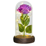Rose Eternelle Lumineuse & Sous Cloche ( Choix de style  )