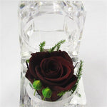 Rose Eternelle petite Boite en Verre ( choix couleur )