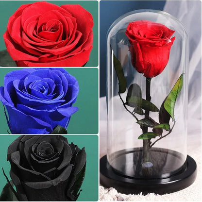 Rose Eternelle Sous Cloche Bleu - Rose Eternelle La Boutique