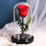 Rose Eternelle Premium (Style au Choix)