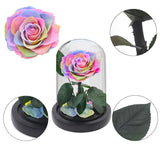Véritable Rose Éternelle de Prestige ( choix de couleur )
