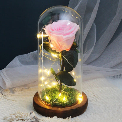 Rose Eternelle Sous Cloche Lumineuse (Choix de Couleur)