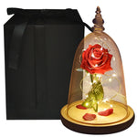 Rose Eternelle Suprême avec Cloche design ( Choix de couleur )