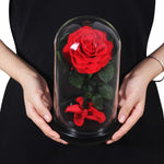 Rose Eternelle Rouge Premium (Style au Choix)
