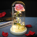 Rose Eternelle Sous Cloche & LED Rose