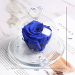 Rose Eternelle Sous Dôme (Choix de Couleurs)