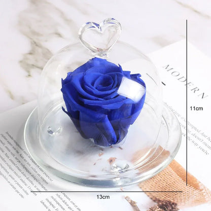 Rose Eternelle Sous Dôme Bleu - Rose Eternelle La Boutique