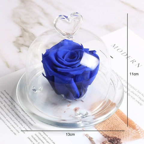 Rose Eternelle Sous Dôme Bleu