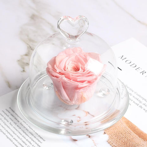 Rose eternel rose <br>sous dôme - Rose Eternelle La boutique