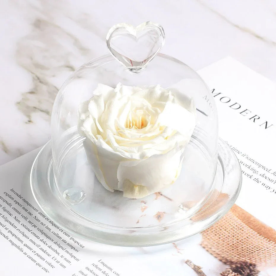 Rose Eternelle Sous Dôme Blanche - Rose Eternelle La Boutique