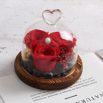 Rose Eternelle Sous Cloche (Trio de Fleurs Rouge) - Rose Eternelle La Boutique