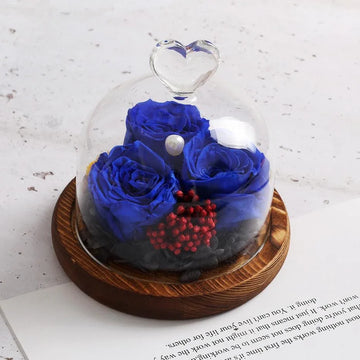 Set of 3 rose blue under dome