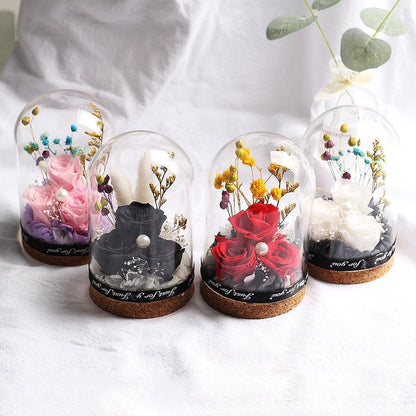 Set of 3 eternal rose white avec ces fleurs under glass dome
