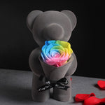Rose Eternelle Ours Multicolore