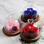 Rose Eternelle Sous Cloche (Trio de Fleurs Rouge)