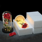 Rose Eternelle Sous Cloche & LED  (Choix De Couleurs)