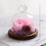 Rose Eternelle Sous Cloche (Trio de Fleurs Rose)