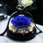 Rose Eternelle Sechée & Fait Main (Choix de Couleurs)