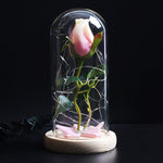 Rose Eternelle Eclosion (Choix de Couleurs)