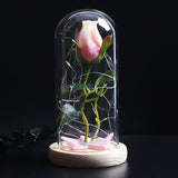 Rose Eternelle Eclosion (Choix de Couleurs)