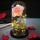 Rose Eternelle Sous Cloche & LED  (Choix De Couleurs)