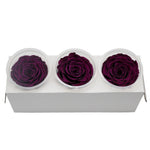 Roses Eternelle Boite Choix de Couleurs ( Pack de 3 )