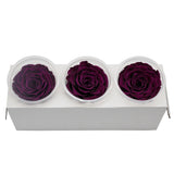 Roses Eternelle Boite Choix de Couleurs ( Pack de 3 )