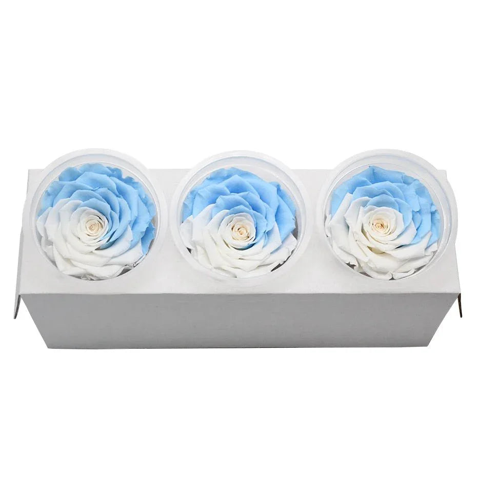 Roses Eternelle Boite Choix de Couleurs ( Pack de 3 ) - Rose Eternelle La Boutique