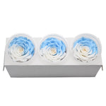 Roses Eternelle Boite Choix de Couleurs ( Pack de 3 )