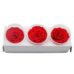 Roses Eternelle Boite Fleurs Rouge ( Pack de 3 )