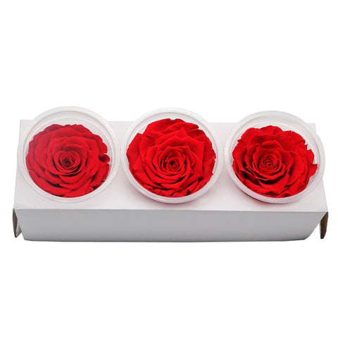Roses Eternelle Boite Fleurs Rouge ( Pack de 3 )