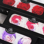 Boite de 3 rose eternelle<br> noir - Rose Eternelle La boutique