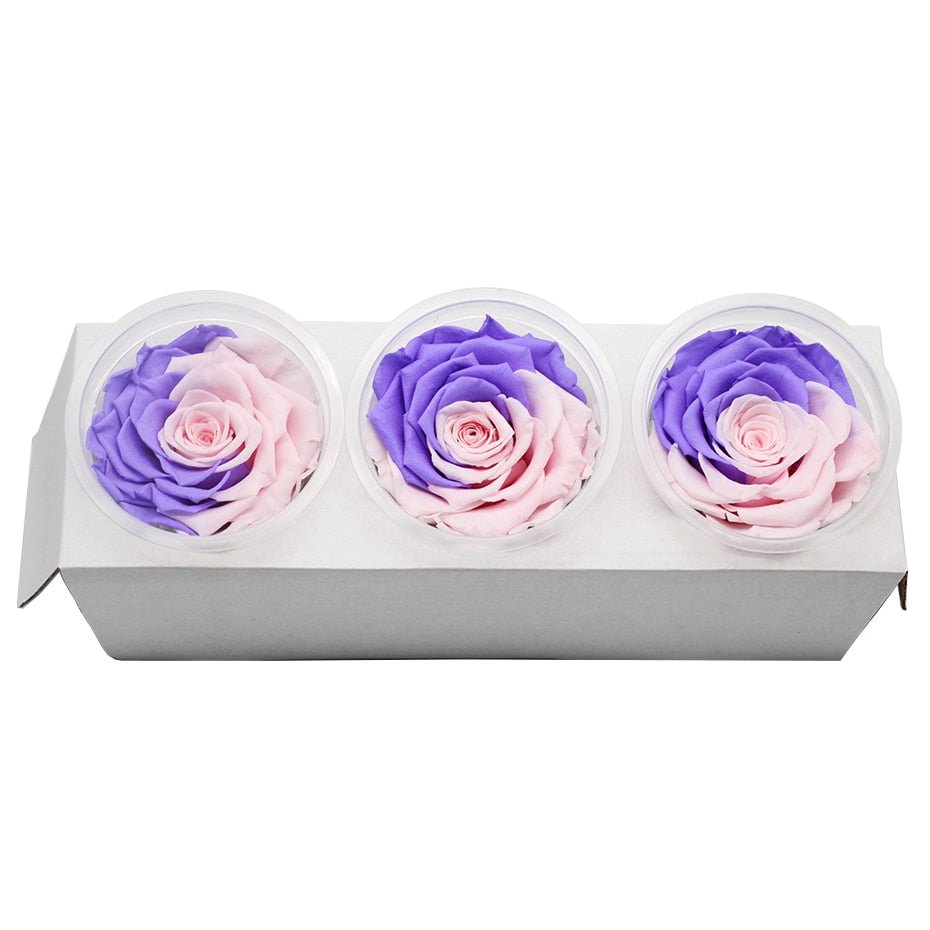 Schachtel „Ewige Rosen“ – Farbauswahl (3er-Pack)