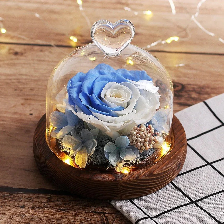 Rose Eternelle Premium Blanche & Bleu - Rose Eternelle La Boutique